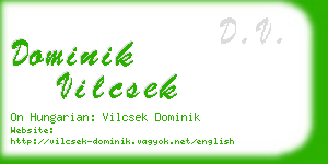 dominik vilcsek business card